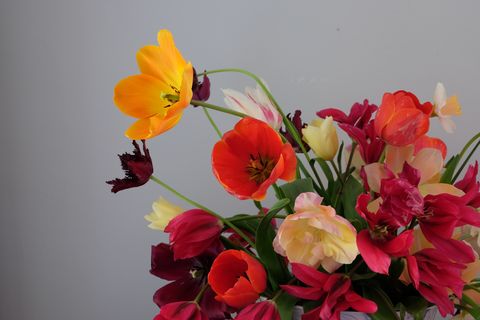 Flower, Flowering plant, Petal, Plant, Cut flowers, Flower Arranging, Floral design, Bouquet, Floristry, Artificial flower, 
