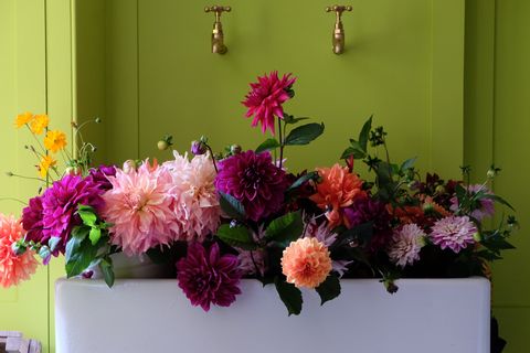 Flower, Floristry, Flower Arranging, Floral design, Cut flowers, Pink, Bouquet, Plant, Artificial flower, Art, 