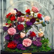 Flower, Garden roses, Cut flowers, Pink, Floristry, Flower Arranging, Rose, Red, Bouquet, Plant, 