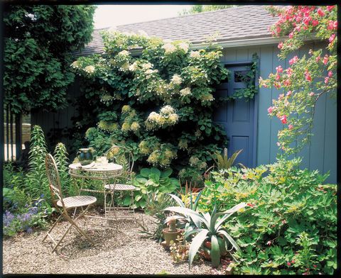 Garden, Shrub, House, Fixture, Terrestrial plant, Backyard, Door, Yard, Coquelicot, Outdoor table, 