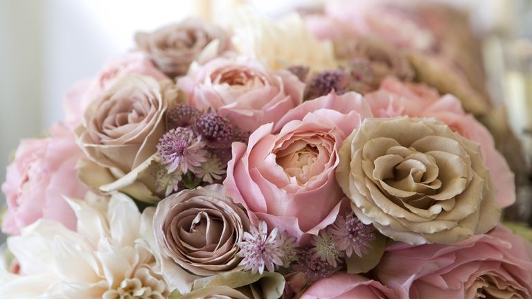 Flower, Garden roses, Bouquet, Pink, Rose, Cut flowers, Flower Arranging, Rosa × centifolia, Floral design, Floristry, 