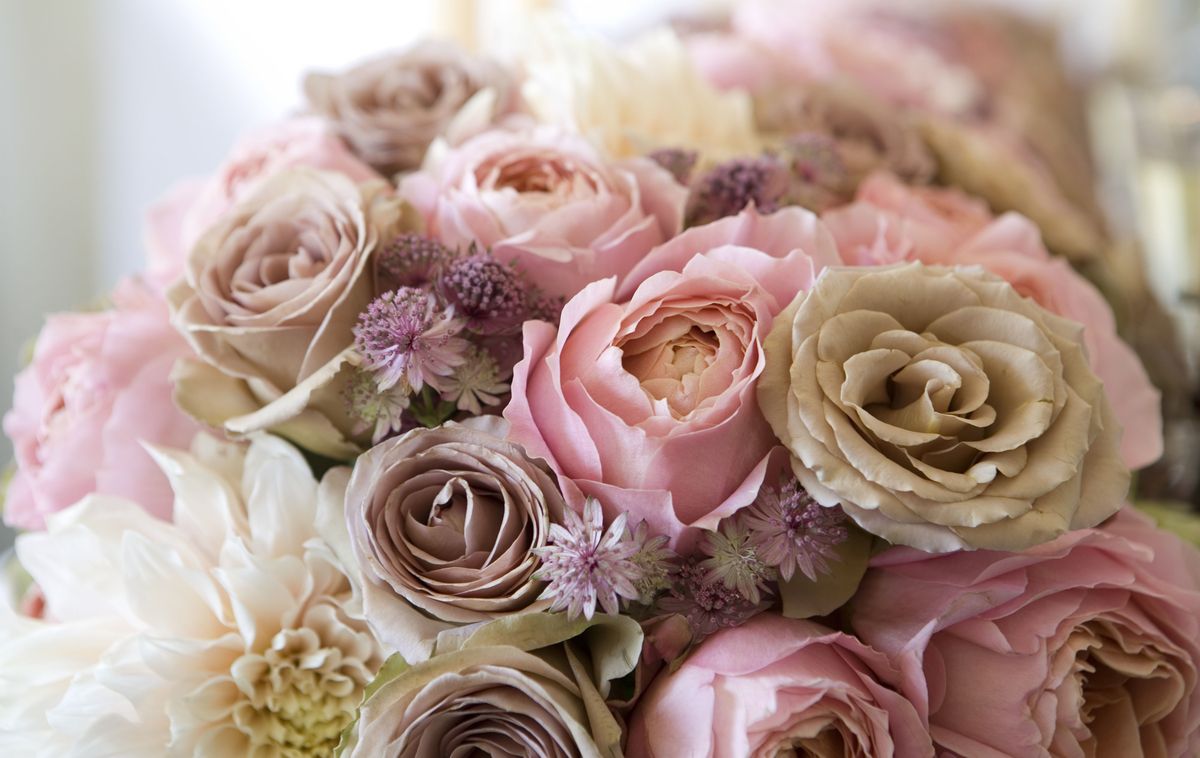 Flower, Garden roses, Bouquet, Pink, Rose, Cut flowers, Flower Arranging, Rosa × centifolia, Floral design, Floristry, 