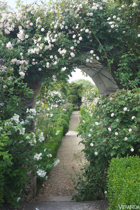 Timeless English Garden - Bannerman Landscape Design