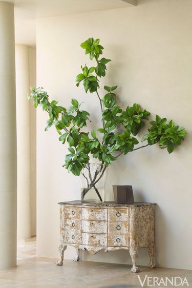 Branch, Wood, Leaf, Wall, Twig, Interior design, Plant stem, Vase, Artifact, Annual plant, 