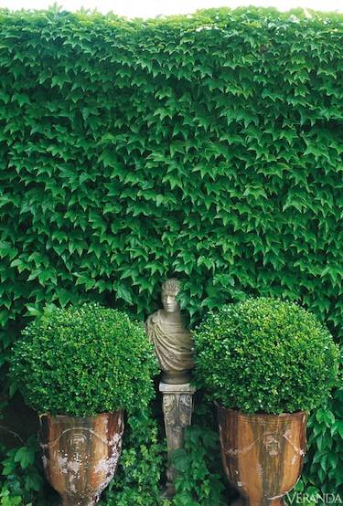A garden in Camargue by Jean-Loup Dirand. Romantic French Country Garden Courtyard Ideas. #garden #french #vines #statue