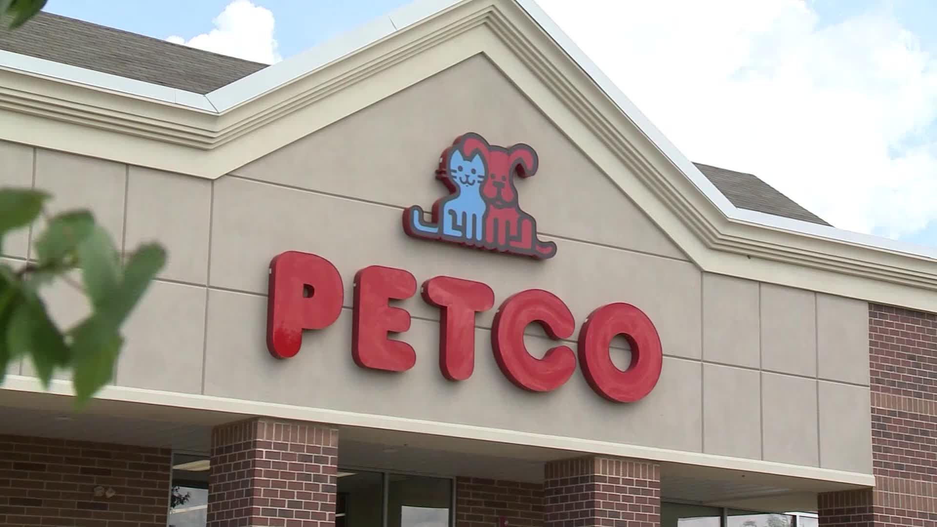 Petco shop artificial ingredients