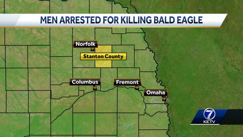 2 Norfolk men allegedly killed, planned to eat American Bald Eagle,  officials say