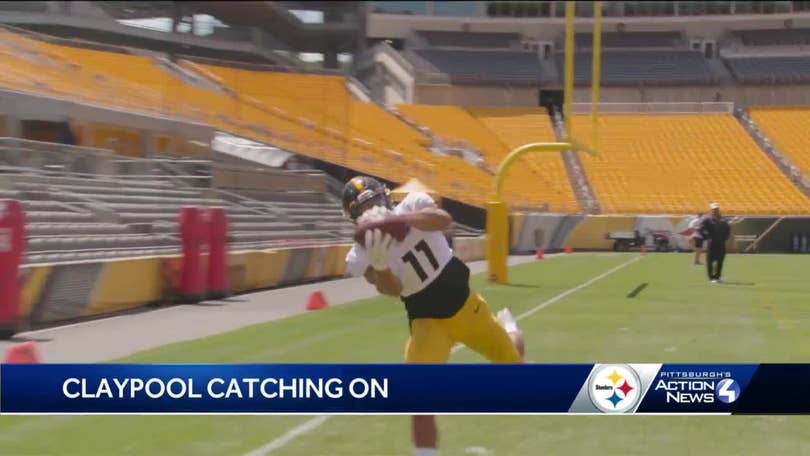 Nelson, Haden Lead Steelers Secondary