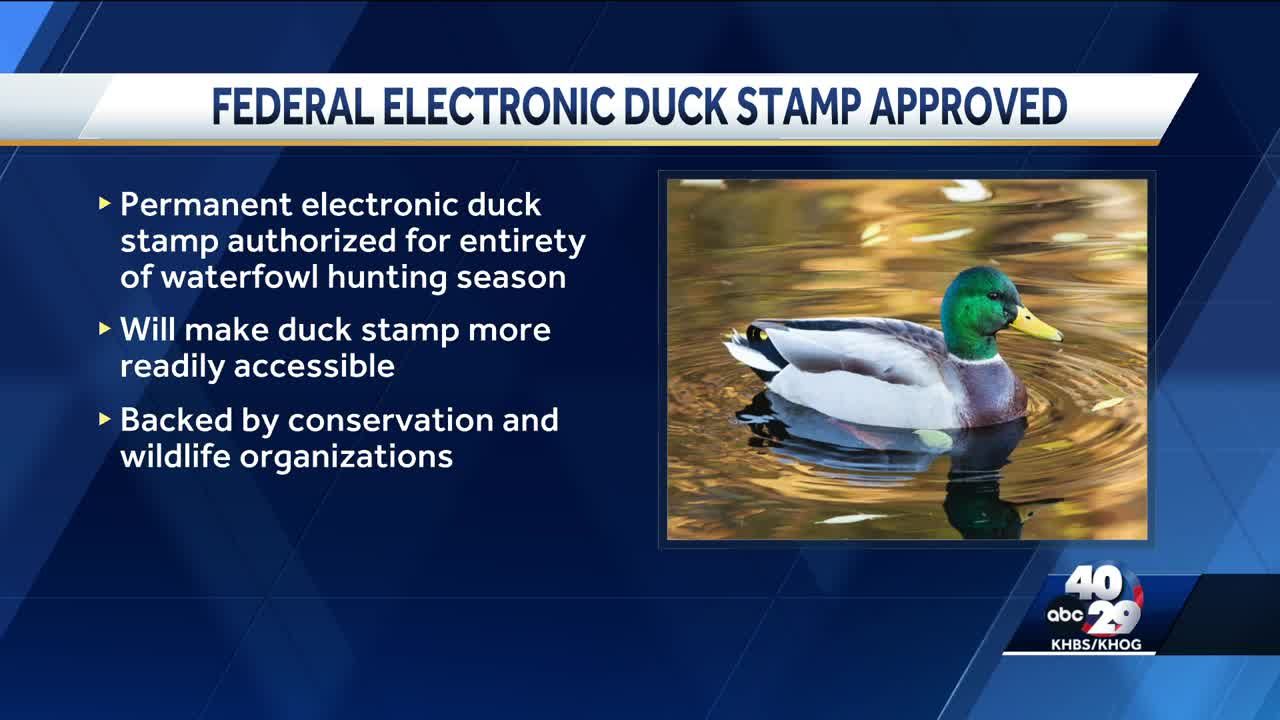 New law makes the federal duck stamp more accessible