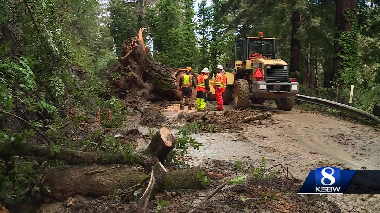 Heavy rain leads to fallen trees mudslides in Santa Cruz Mountains