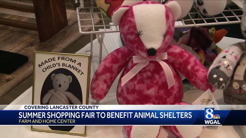 Nonprofits Team Up To Help Animals Who Need Homes