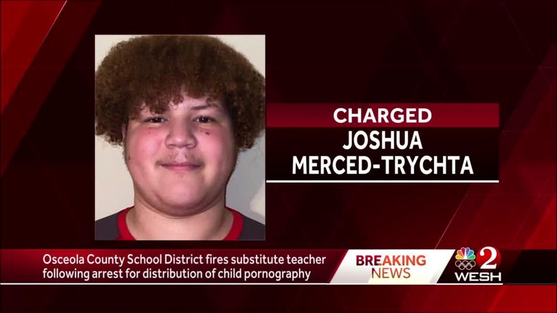 Substitute Teacher Porn Captions - School district fires substitute teacher following child porn arrest,  officials say