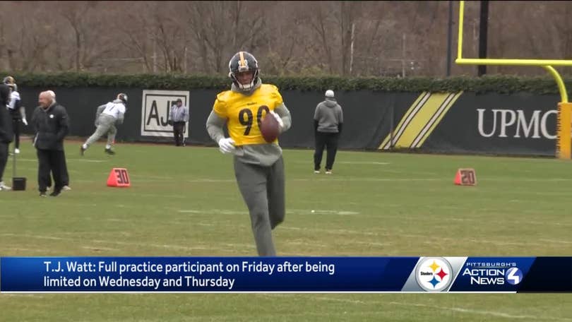 Minkah Fitzpatrick praises two young Pittsburgh Steelers defensive backs