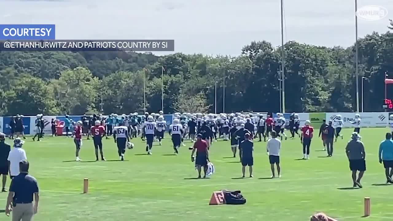 Panthers, Patriots Brawl At Joint Practice, Fan Injured In Melee