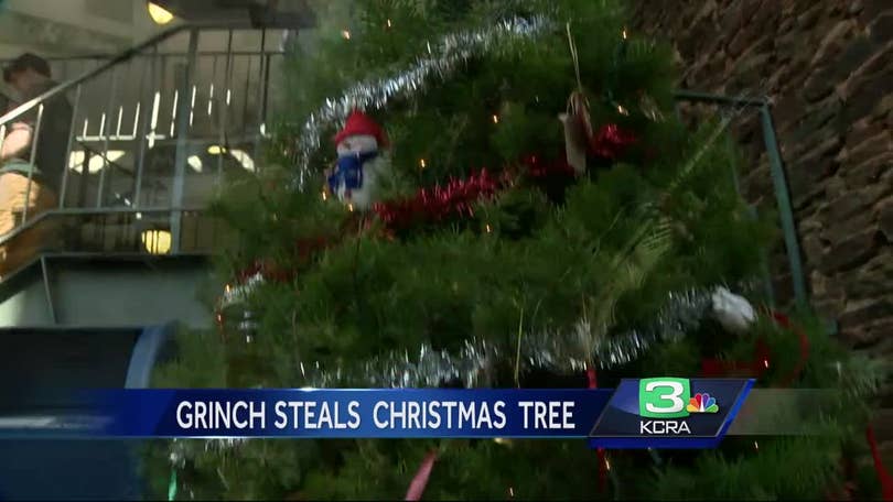 Grinch Steals Placerville Stores Christmas Tree Grinch Steals Placerville Stores Christmas Tree