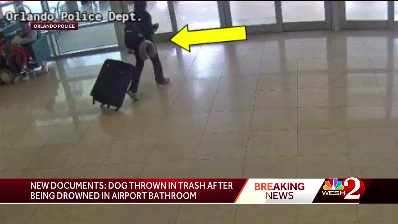 Woman drowns dog in Florida airport bathroom after denied boarding flight, police say