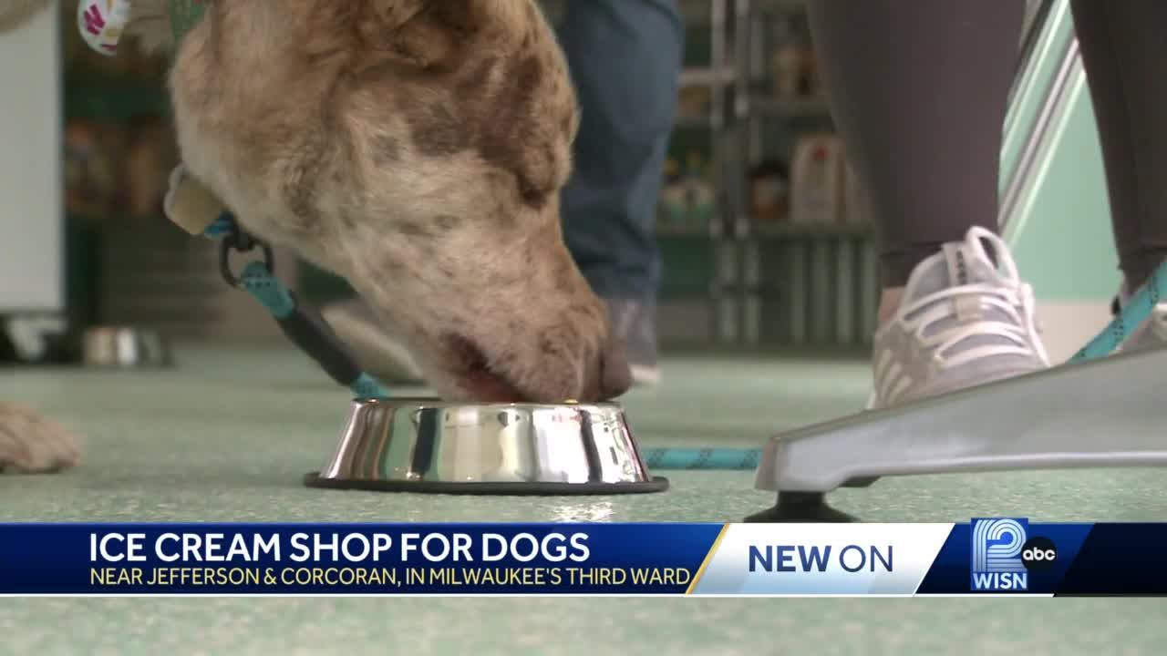 Ice cream places outlet for dogs