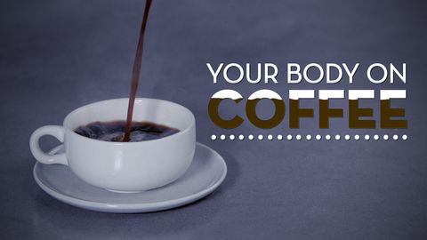 preview for Your Body on Coffee