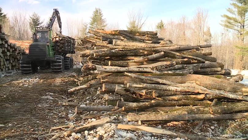 Warming climate presents challenges for Maine&rsquo;s logging industry