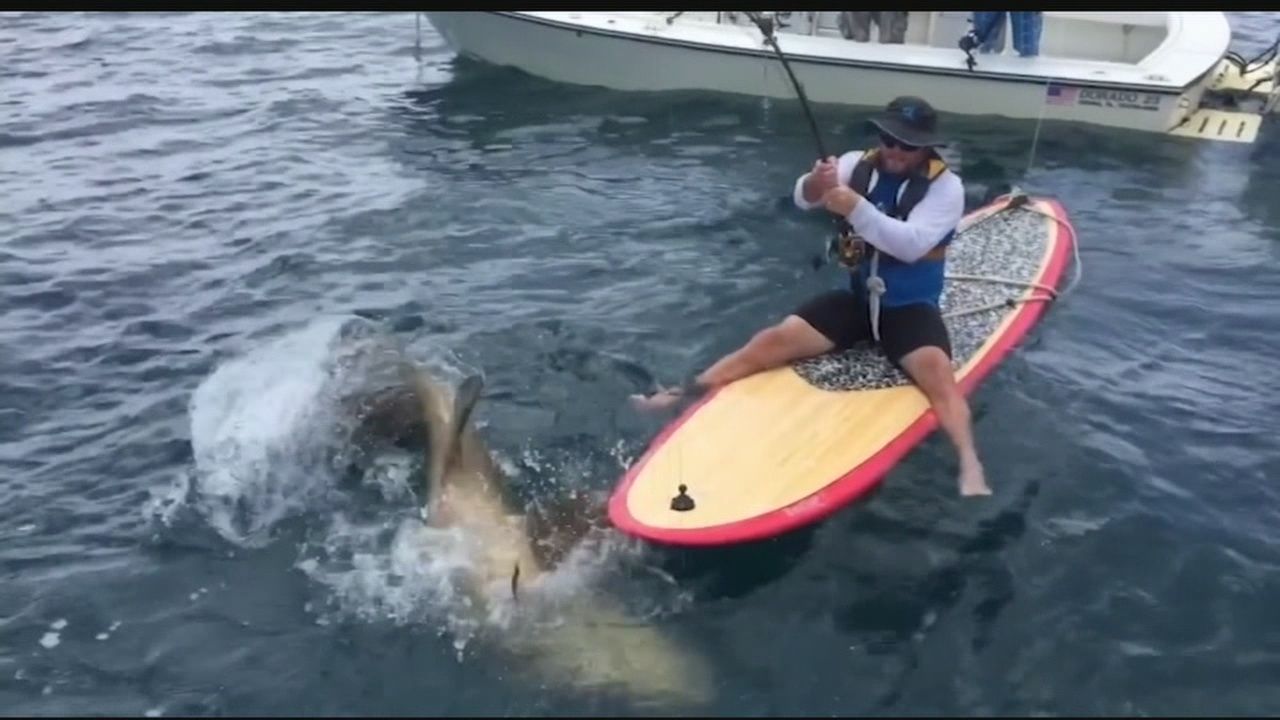 grouper paddle board