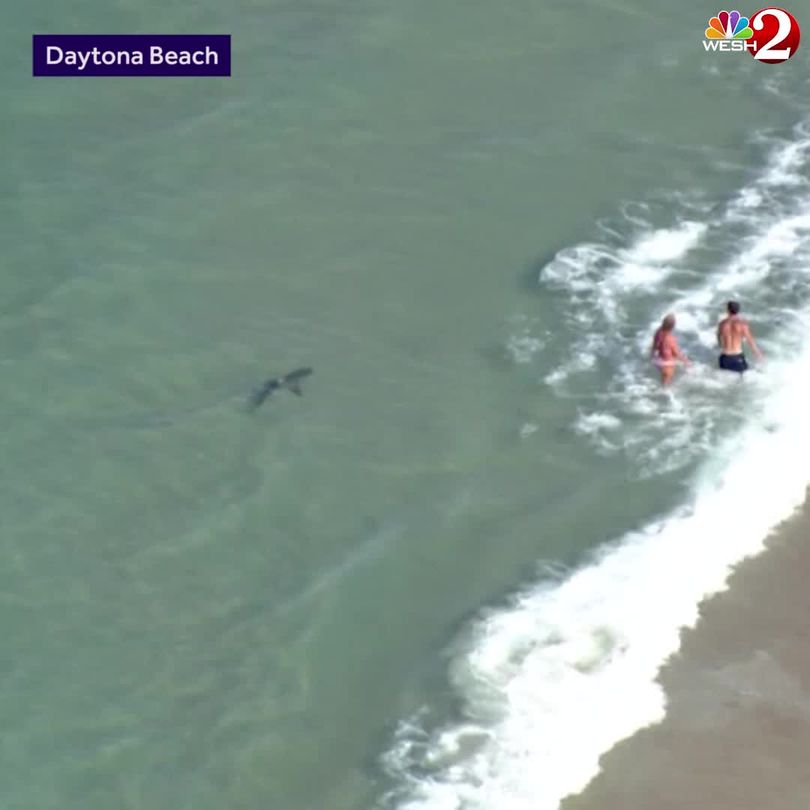 Shark Spotted Swimming Close To Shore In Daytona Beach