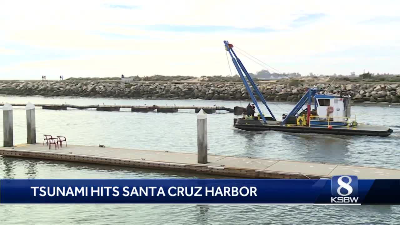 California tsunami leaves Santa Cruz harbor flooded