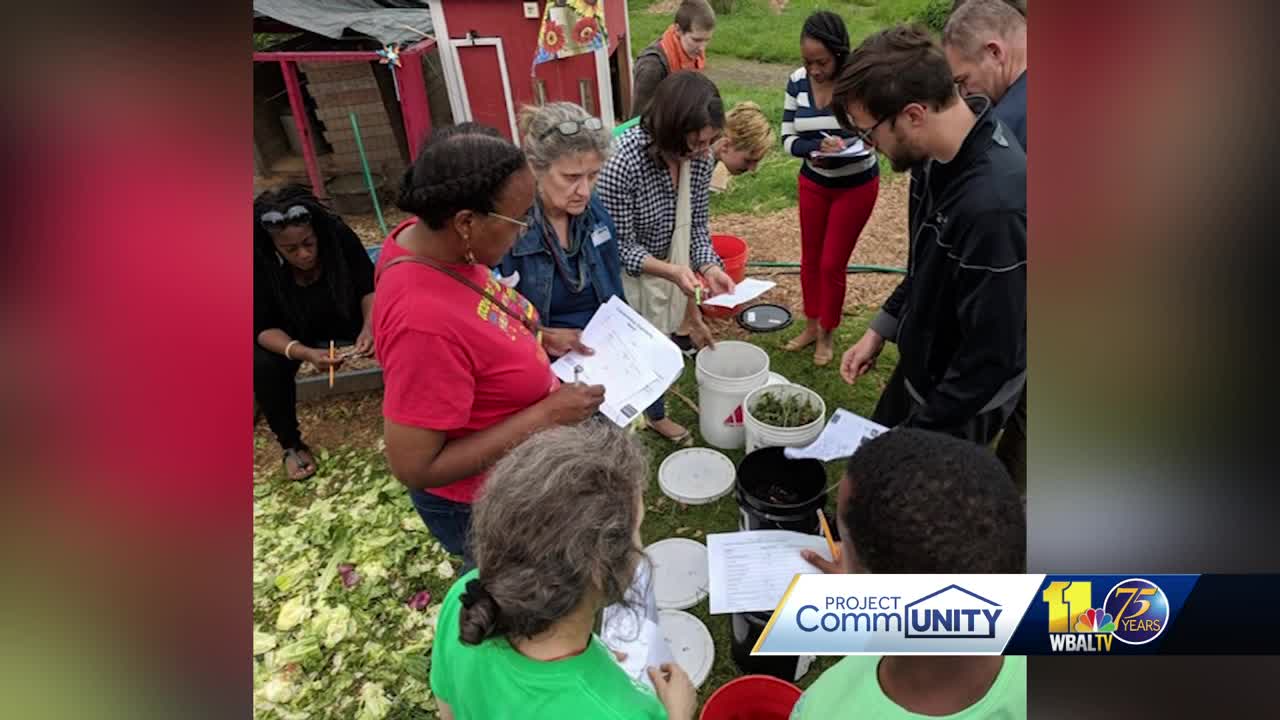 Students awarded for helping environment in new competition