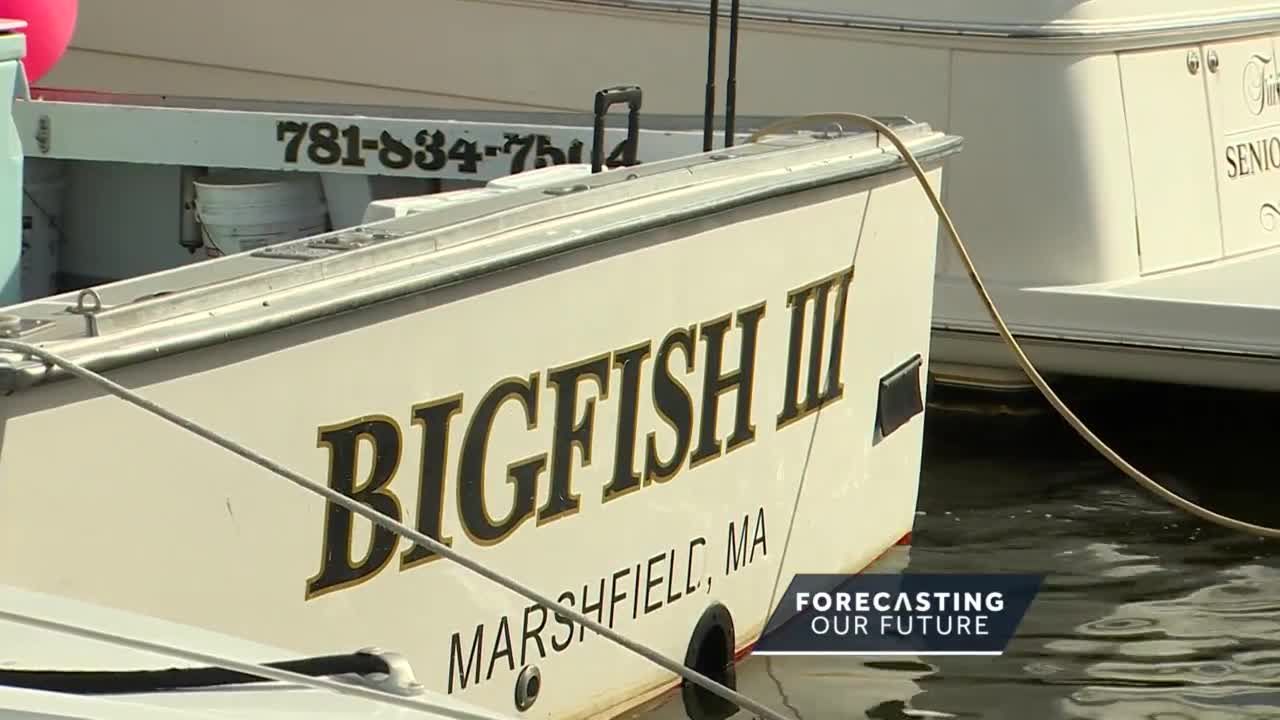 Forecasting our Future: Warming waters depleting Massachusetts' cod  population