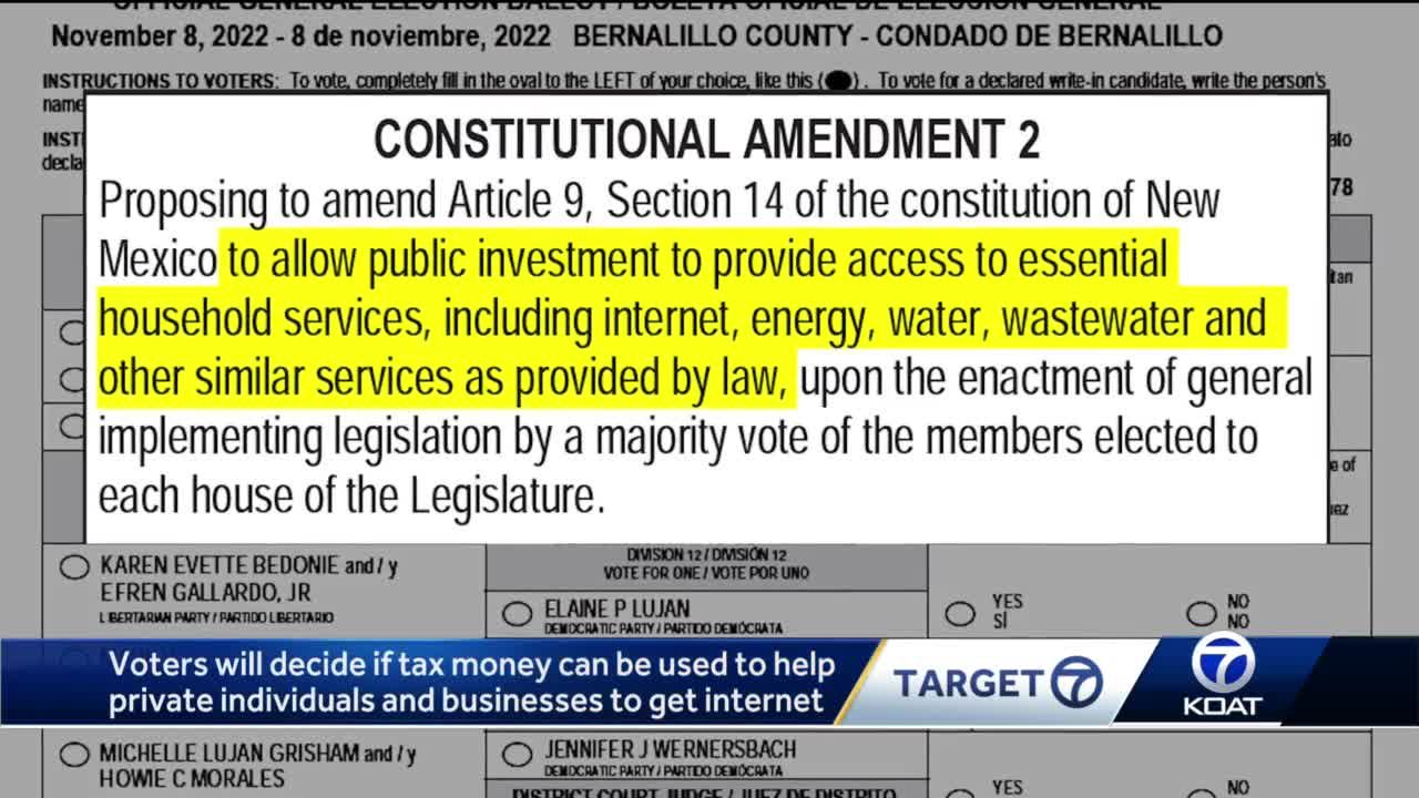 No 2 Constitutional Amendment Article 2 Clearance www