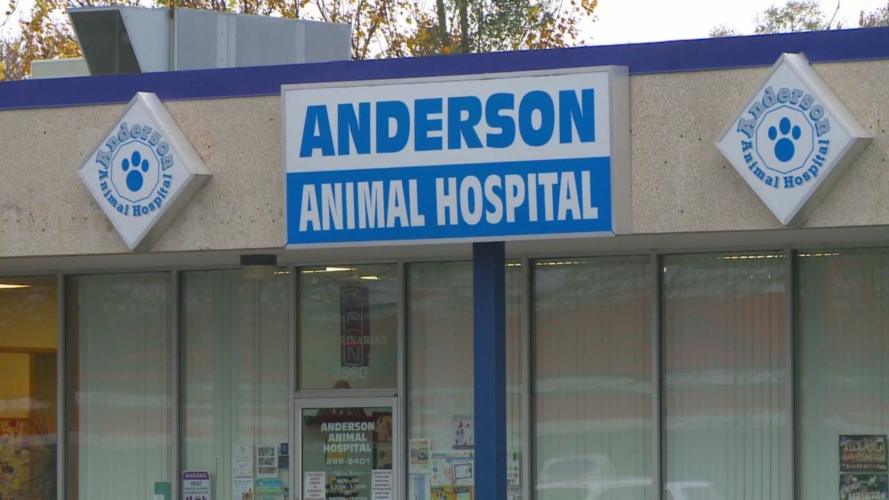 Anderson 2024 pet hospital