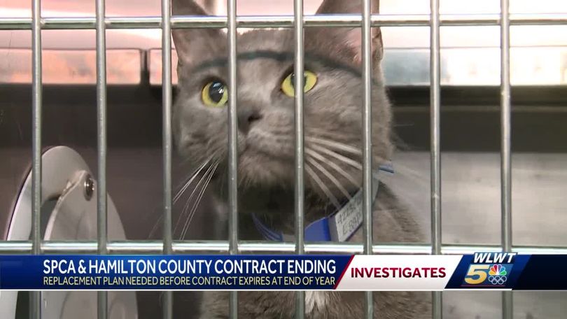 SPCA ends long-time contract with Hamilton County