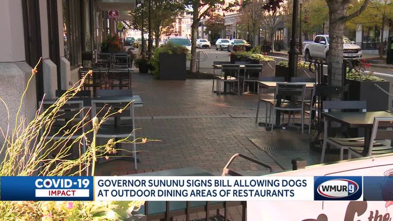 are dogs allowed in nh restaurants