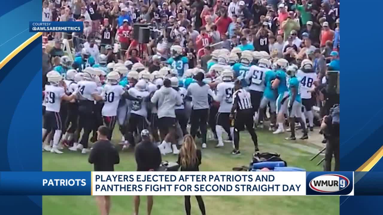 Patriots-Panthers fight leads to ejections and fan being injured