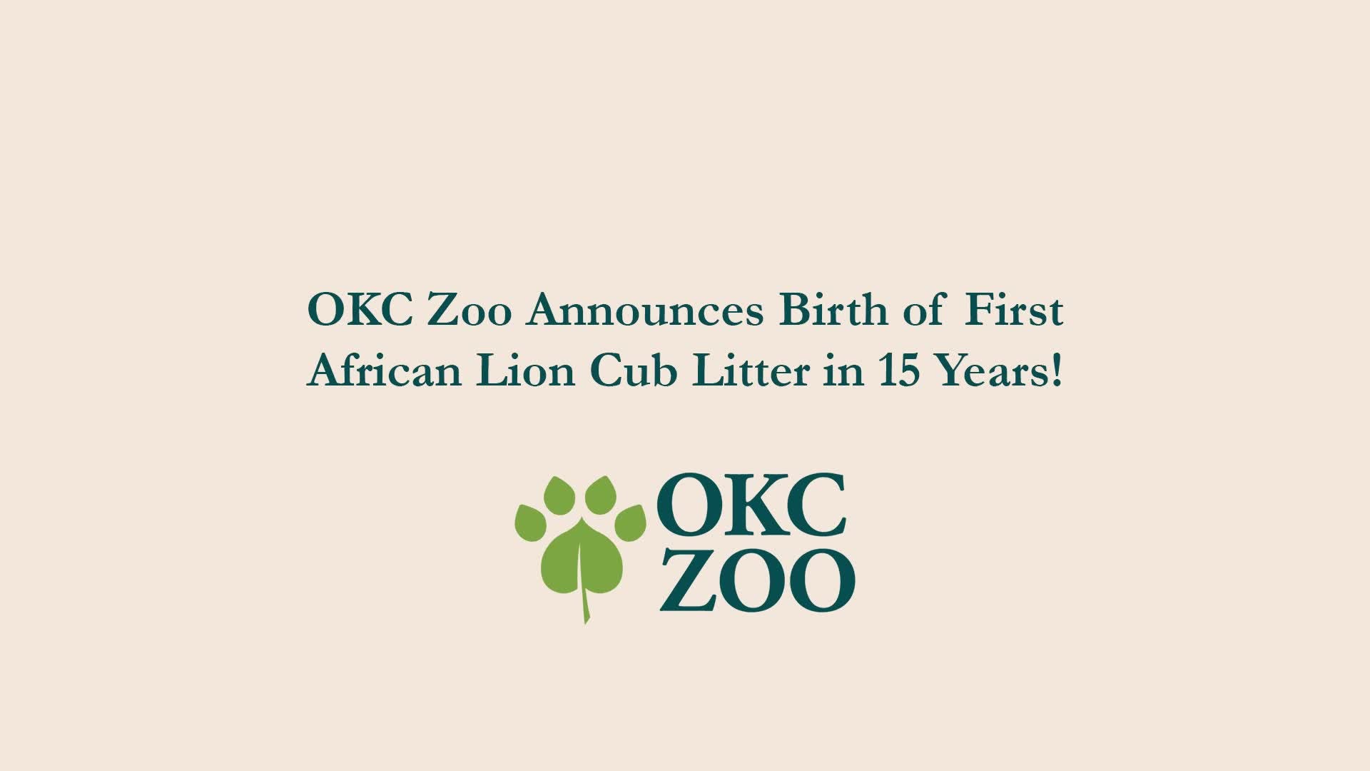 Help name the OKC Zoo lion cubs!