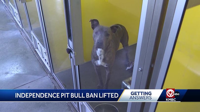 Independence animal shelters prepare for repeal of pit bull ban