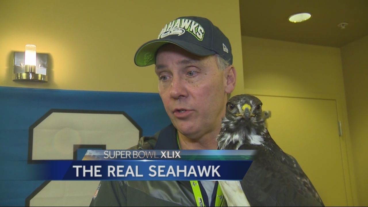 the real seahawk 