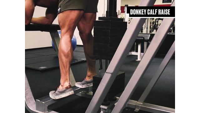preview for 10 Best Bodybuilding Moves