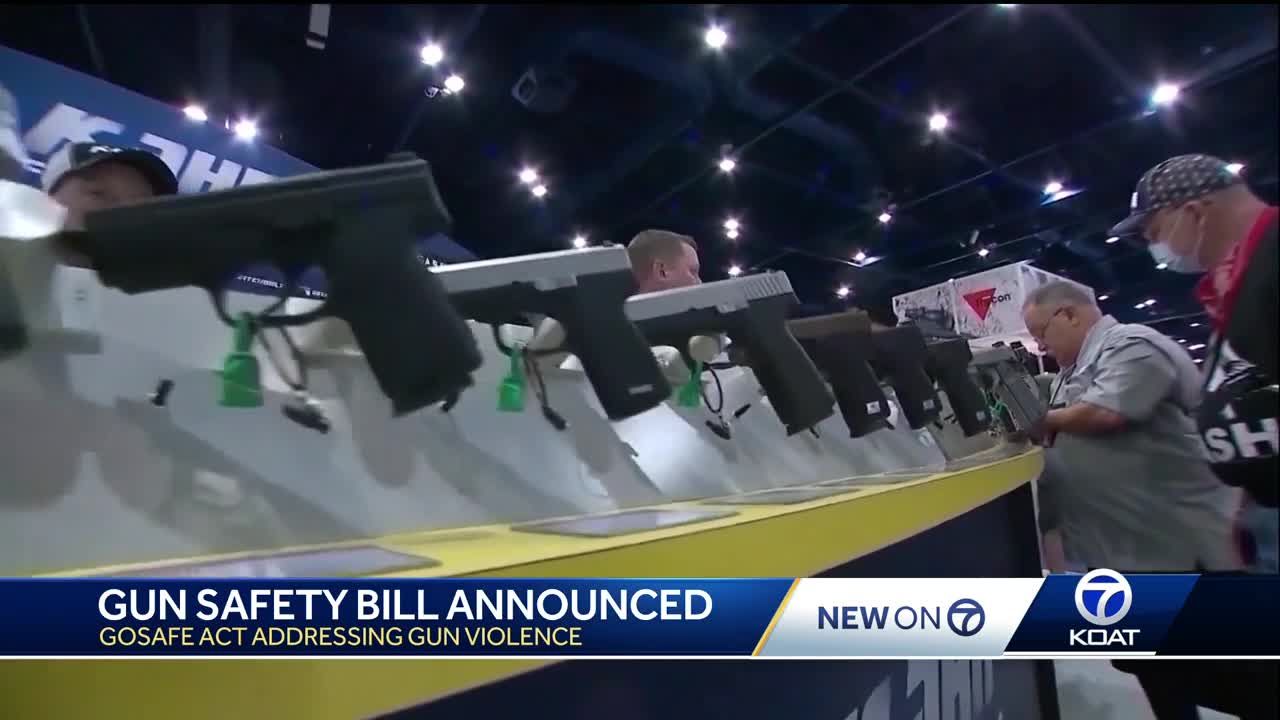 Bill introducing a new approach to gun regulation