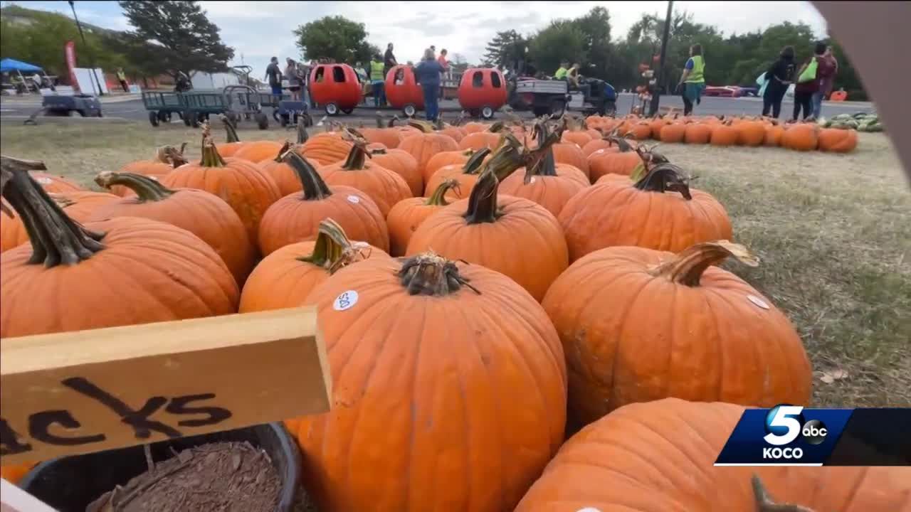 pumpkin patch ok