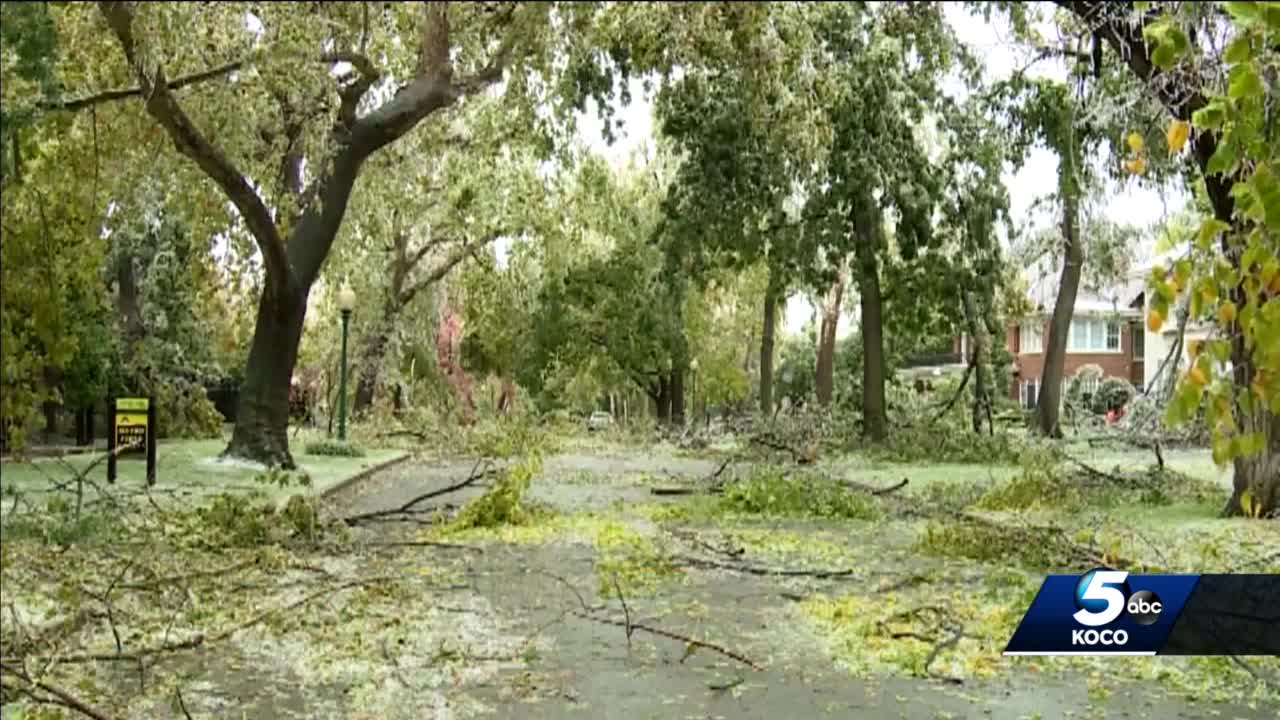 Survivor Tree at the Oklahoma City National Memorial damaged in ice storm