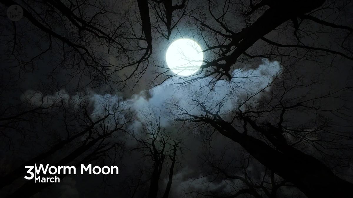Full moon names for 2024 (and how they came to be)