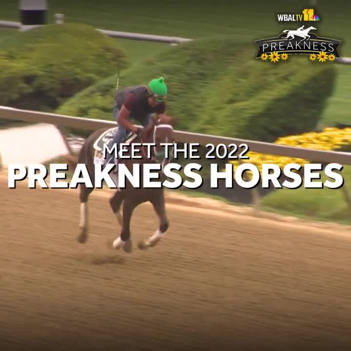 Preakness 2023: Your guide to the 148th running of the Preakness