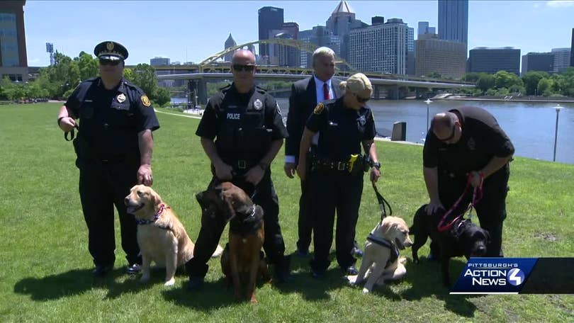 Hopewell police get $10,000 from Ben Roethlisberger for K-9 unit