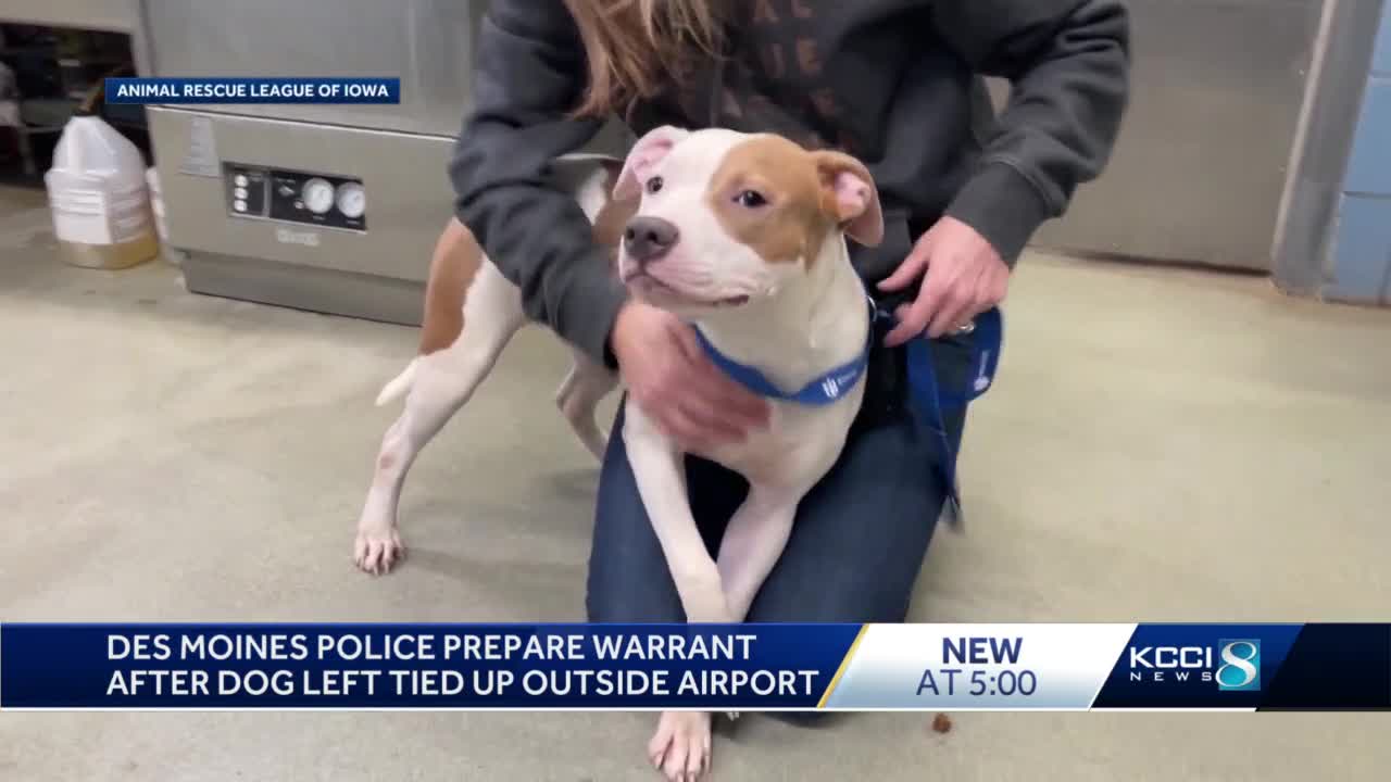 Man Left His Puppy Tied Up at Iowa Airport While He Caught a Flight Because  He Didn't Know He Needed a Kennel to Transport Dog on Plane