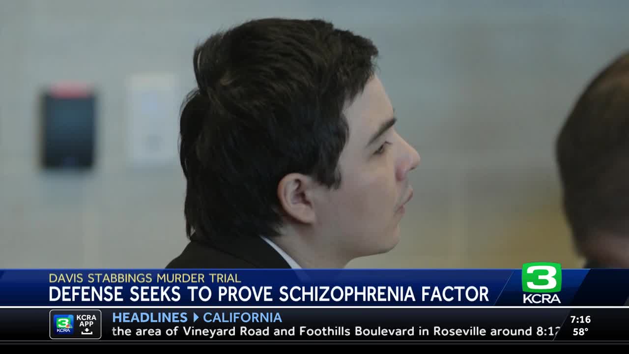 Davis stabbings trial | Defense seeks to prove schizophrenia factor in killings