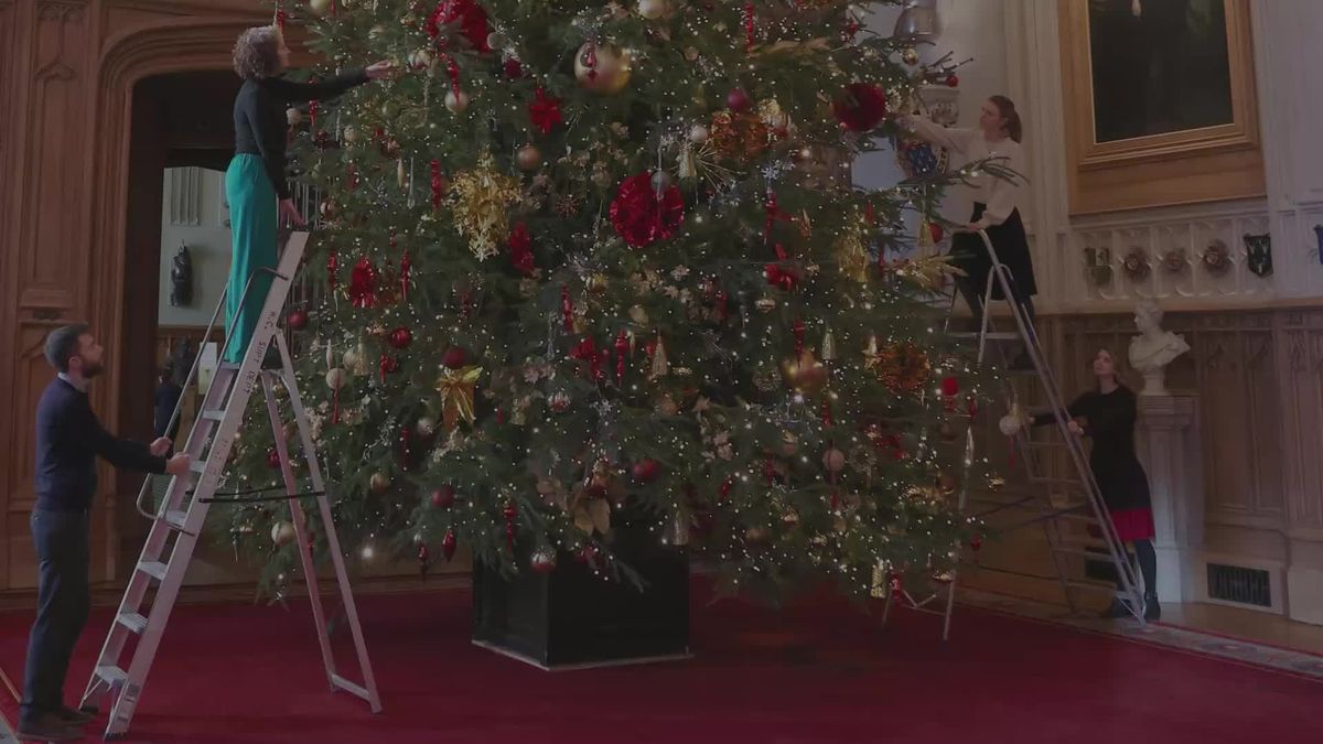 preview for L'albero di Natale della royal family