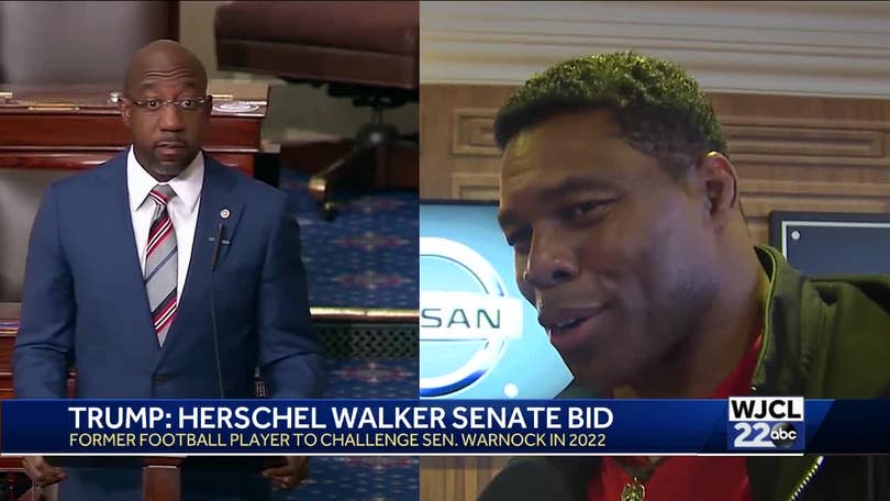 Herschel Walker: Donald Trump is 'my frontrunner' for president