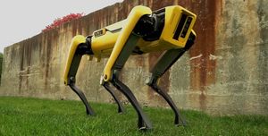 犬型ロボット, ロボット, ボストン・ダイナミクス, ロボット犬, 石油プラットフォーム,  採用, テクノロジー, ニュース