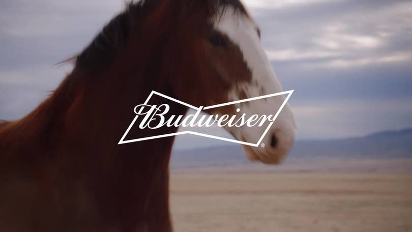 Anheuser-Busch Ending Exclusive Super Bowl Deal