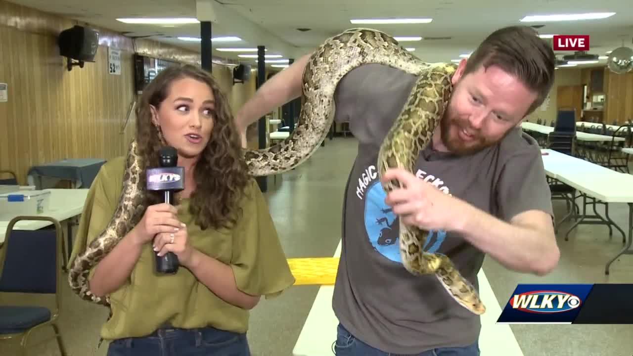 Alex holds Burmese python at Indiana Reptile Breeder's Expo